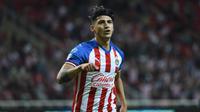 ¿Regresa el goleador? Alan Pulido desea volver a Chivas