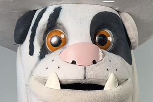 Monty, mascota de Rayados, recrea video viral de Doris Jocelyn