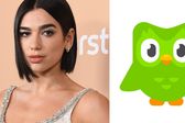 Duolingo y Dua Lipa aparecen juntos en foto de perfil