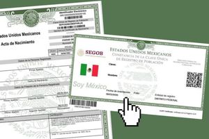 ¿Cómo tramitar mi Acta de Nacimiento y CURP en línea? Aquí te decimos cómo