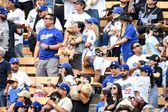 Aficionados asistieron al partido de Los Angeles Dodgers con sus perros