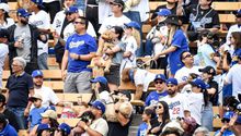 Aficionados asistieron al partido de Los Angeles Dodgers con sus perros