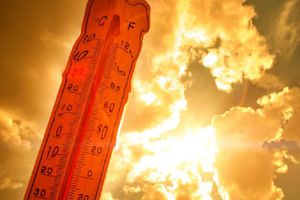 Hoy inicia la tercera ola de calor en el país: Qué estados afectará y recomendaciones