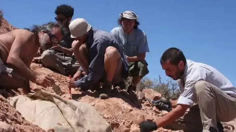 En Argentina se han encontrado restos fosilizados de un gliptodonte cazado por humanos