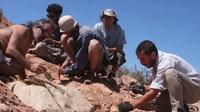 En Argentina se han encontrado restos fosilizados de un gliptodonte cazado por humanos
