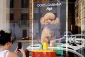 Dolce & Gabbana lanza perfume para perros