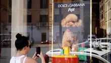 Dolce & Gabbana lanza perfume para perros