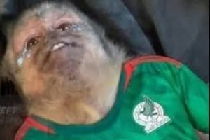 Memes 'destrozan' a la Selección Mexicana tras derrota ante Venezuela en Copa América