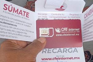 Amplían fecha de entrega del chip de CFE para tener internet gratis ¡Te contamos todo!