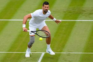 Novak Djokovic ya tiene rival para Wimbledon; Andy Murray también, pero sigue en duda