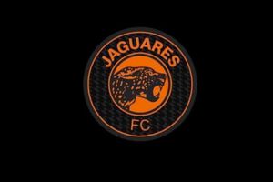 Redes sociales de Jaguares causan revuelo por su regreso