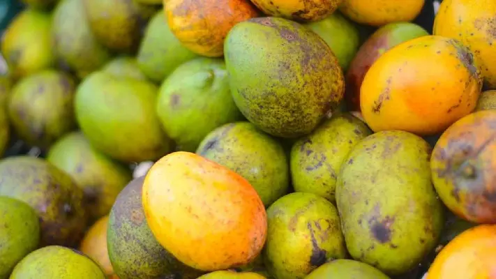 Estados Unidos también suspende exportación de mangos producidos en Michoacán