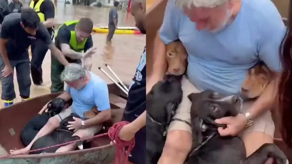 Se hace viral hombre que rescata a sus perros de las inundaciones en Brasil