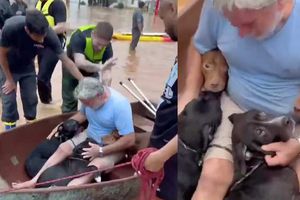Se hace viral hombre que rescata a sus perros de las inundaciones en Brasil