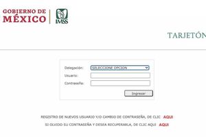 Tarjetón Digital del IMSS: ¿Cómo tramitarlo y para qué sirve?