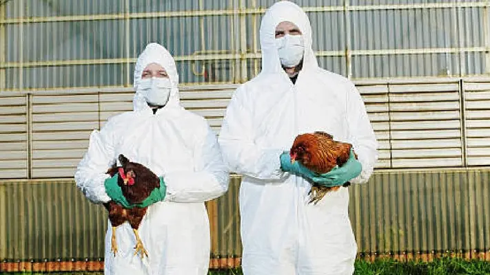 Ssa descarta riesgo para la población tras primera muerte por gripe Aviar A H5N2