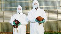 Ssa descarta riesgo para la población tras primera muerte por gripe Aviar A H5N2