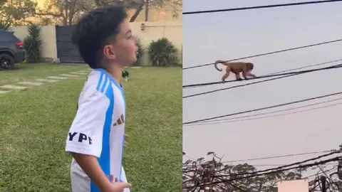 Niño argentino genera polémica por video donde ve un mono y lo llama Vinicius