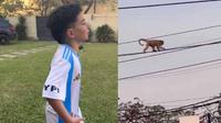Niño argentino genera polémica por video donde ve un mono y lo llama Vinicius
