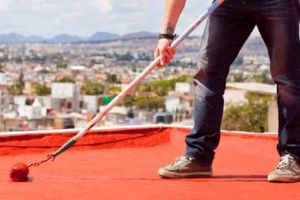 ¿Cuáles son los mejores impermeabilizantes para temporada de lluvias? Según Profeco