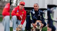 ¡El crossover que necesitábamos! Roscoe Hamilton y Leo Leclerc se conocieron en el Gran Premio de Gran Bretaña