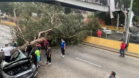 Caída de árbol en Río Churubusco tras lluvias en CDMX provoca corte de la circulación en ambos sentidos