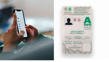 ¿Cómo renovar tu licencia de conducir desde WhatsApp en CDMX 2024? ¡Entérate!
