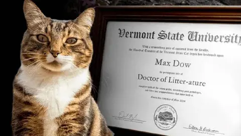 Universidad de EU da doctorado honoris causa a gato "Max"