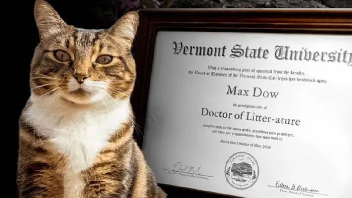 Universidad de EU da doctorado honoris causa a gato "Max"