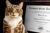 Universidad de EU da doctorado honoris causa a gato "Max"