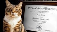 Universidad de EU da doctorado honoris causa a gato "Max"