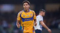 ¡En caída libre! Pumas suma otra derrota al caer vs Tigres en el Olímpico Universitario