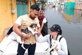 Rescatan a 178 perritos y gatitos tras las inundaciones en Chalco