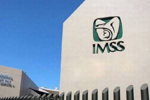 ¿Cómo darse de alta en el IMSS en línea? Te lo contamos
