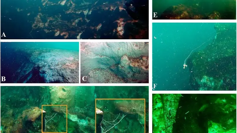 Científicos encuentran el agujero azul más profundo del mundo en México