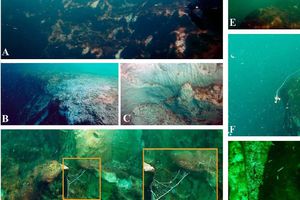 Científicos encuentran el agujero azul más profundo del mundo en México