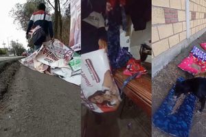 Se hace viral joven que recoge basura electoral y la convierte en camas para perros