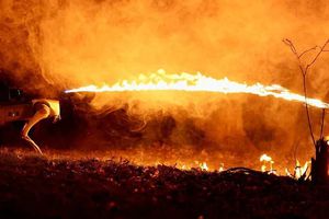 Conoce a Thermonator, el perro robot que lleva un lanzallamas y no es considerado un arma de fuego