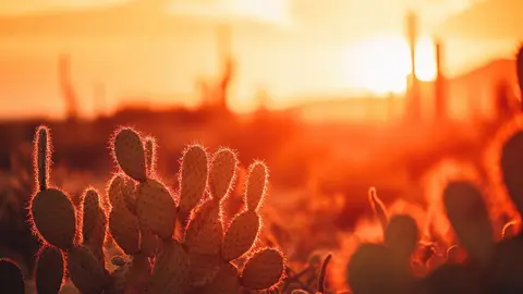 Fenómeno de El Niño murió: ¿En qué afectará ahora en el clima?