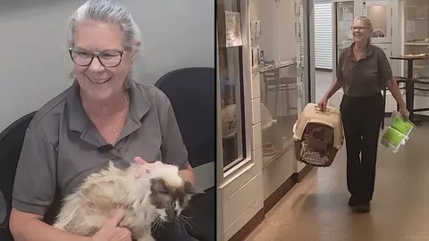 VIDEO: Encuentran a gatito perdido 11 años después… ¡Gracias a un microchip!