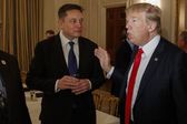 ¿Qué cargo ocupará Elon Musk en el gabinete de Donald Trump si gana las elecciones? Esto dijo el candidato