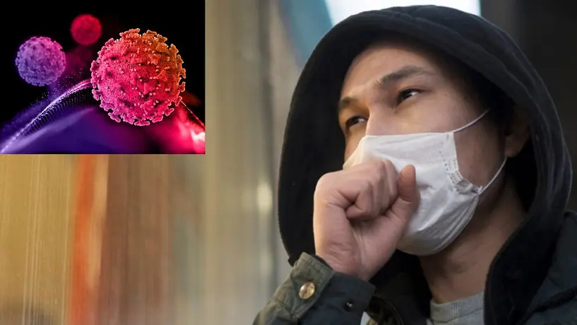 Bacteria Carnívora pone en alerta a Japón ¡Te contamos por qué!