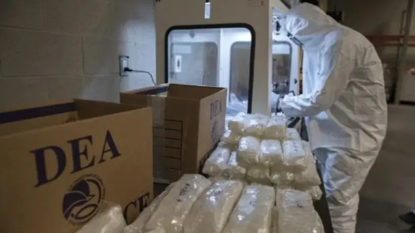 DEA asegura que México podría desplazar a Colombia como principal productor de droga