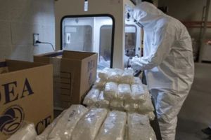 DEA asegura que México podría desplazar a Colombia como principal productor de droga