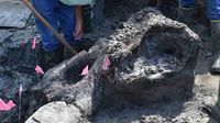 Encuentran cráneo de mastodonte de 13 mil años de antigüedad en Iowa