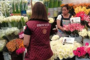 ¡Para no valer ma…! Profeco realizará un operativo este 10 de mayo