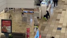 ¡Asalto perrón! Captan en video a perrito que se robó un peluche de centro comercial