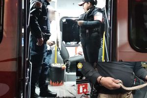 Víbora se sube a microbús en paradero de la Ciudad de México y causa pánico a los pasajeros