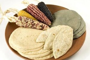 Beneficios nutricionales de la tortilla de maíz a lo largo de la vida