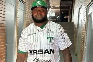 Wirfin Obispo agredió a aficionado debido a insultos racistas: 'Pin... prieto'